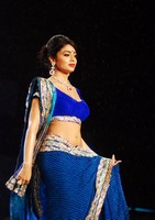 Shriya Saree Images